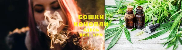 индика Яровое