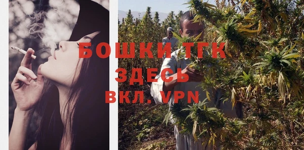 индика Яровое