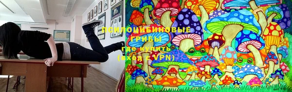 индика Яровое