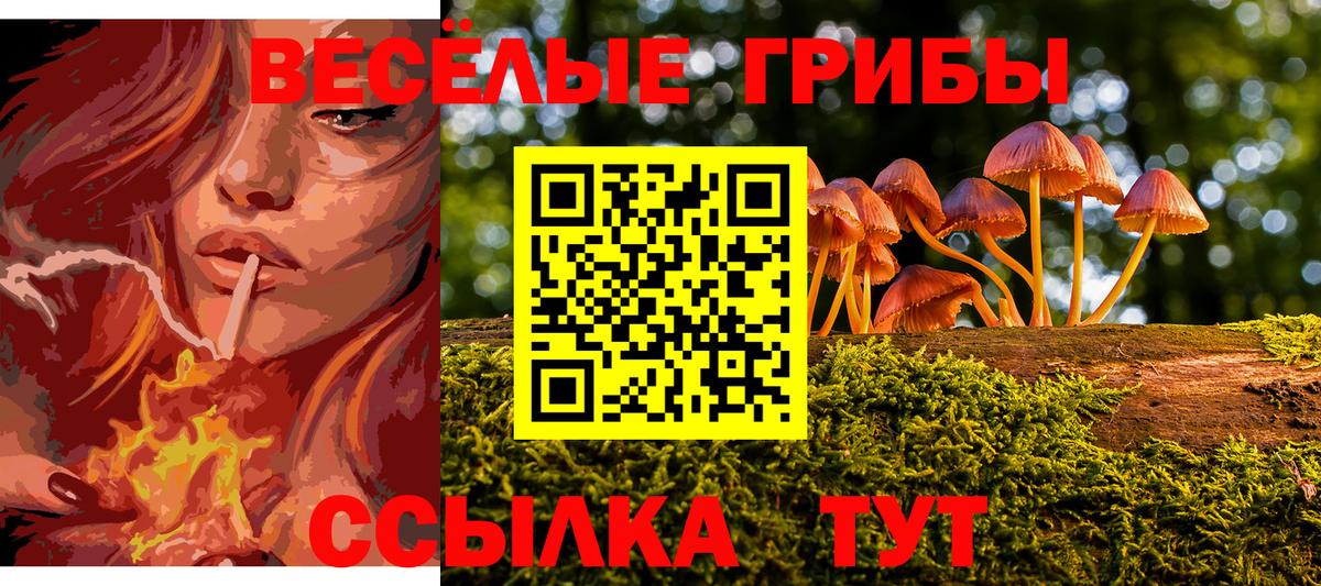 Галлюциногенные грибы мицелий Старый Оскол