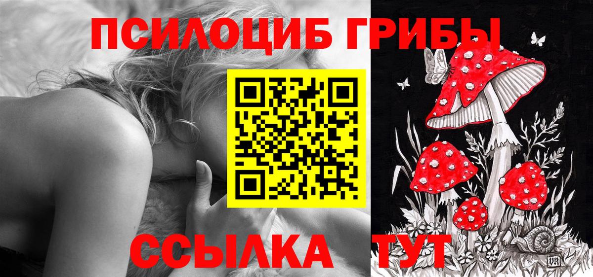 Старый Оскол  Галлюциногенные грибы мицелий  Вход с VPN 